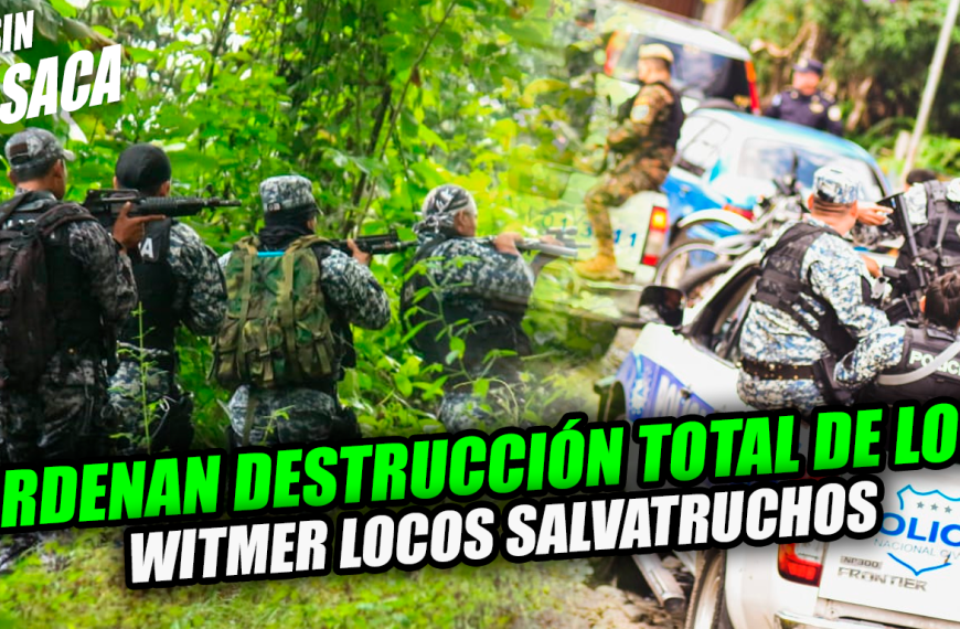 Acabarán por completo con la clica Witmer Locos Salvatruchos de la MS13