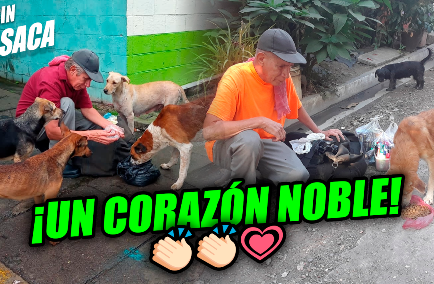 Él es don Nelson, un vendedor ambulante que reparte comida a los perritos…