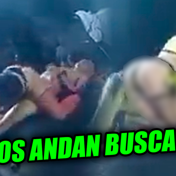 Buscarán a las personas que hicieron la fiesta en Sonso en la que…