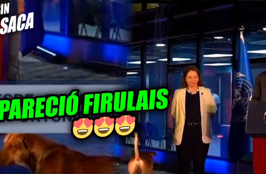 Firulais se coló en la conferencia del Presi y se robó la mirada de todos