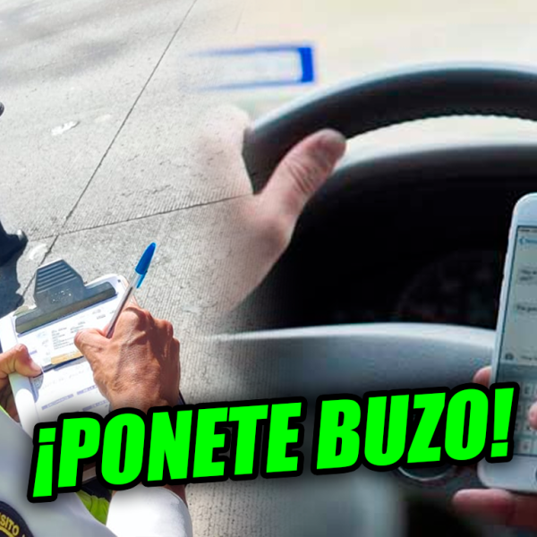¡OJO! Si usás el teléfono mientras manejás, ni sabrás de dónde saldrá un…