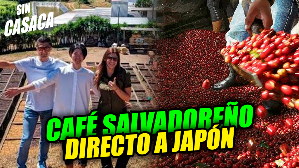 Japoneses vinieron a El Salvador para comprar 5 toneladas de café y…