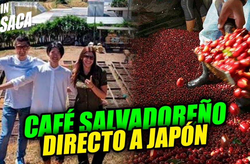 Japoneses vinieron a El Salvador para comprar 5 toneladas de café y distribuirlas en Tokyo