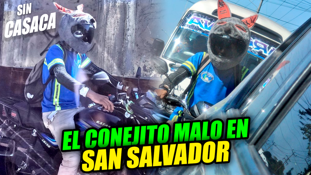 Motociclista se vuelve viral por usar un misterioso casco de conejo en…