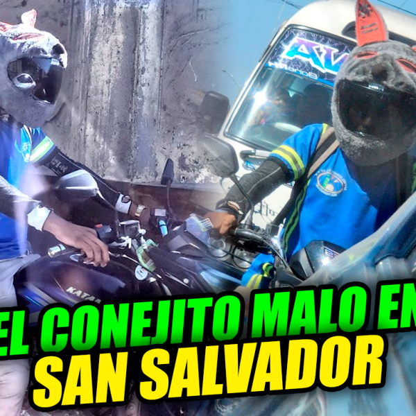 Motociclista se vuelve viral por usar un misterioso casco de conejo en las…