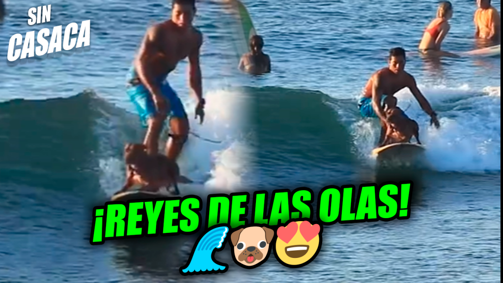 Viralizan video de un salvadoreño surfeando junto a su perrito en las…