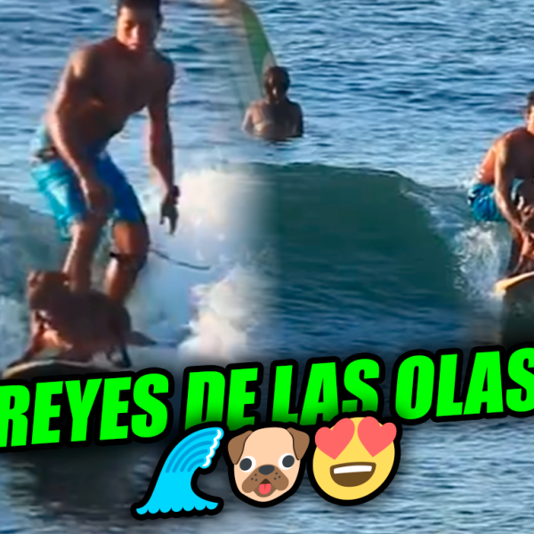 Viralizan video de un salvadoreño surfeando junto a su perrito en las playas…