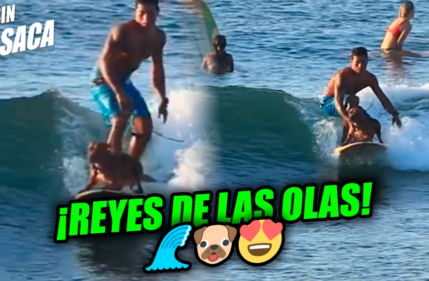 Viralizan video de un salvadoreño surfeando junto a su perrito en las playas de El Zonte