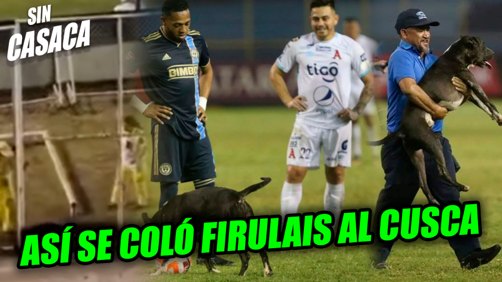 VIDEO: Así fue como se metió el perrito a la cancha del…