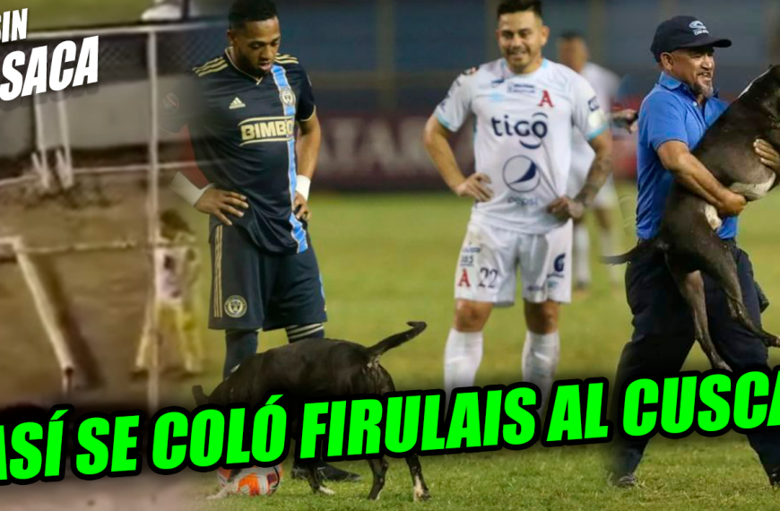 VIDEO: Así fue como se metió el perrito a la cancha del Estadio Cuscatlán 