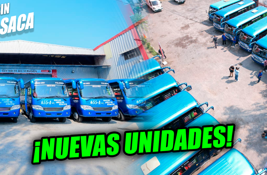 Salvadoreños viajarán cómodos y seguros en las nuevas unidades de la ruta 655-A