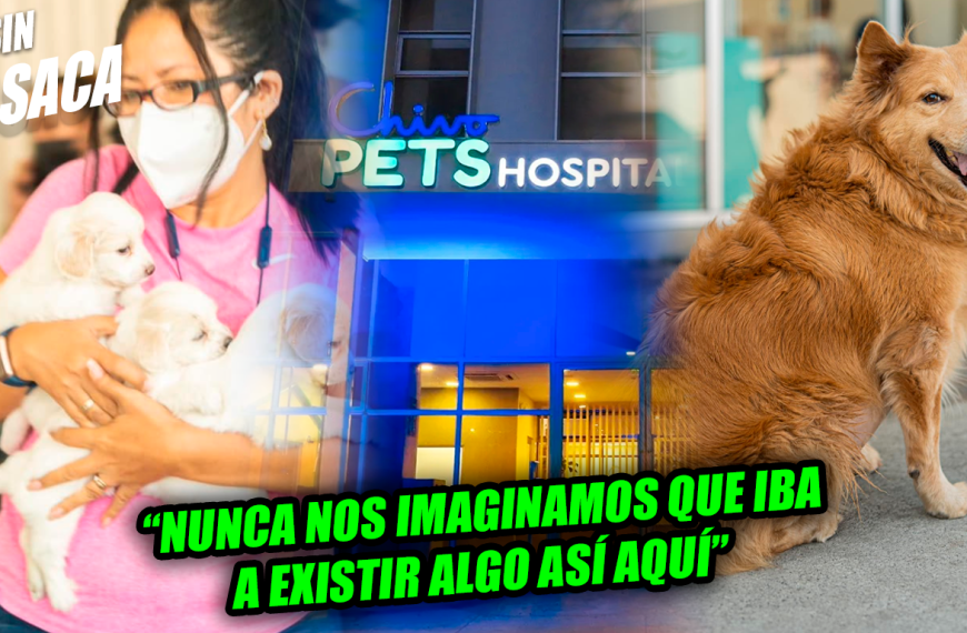 Miles de salvadoreños siguen agradecidos por el Hospital Veterinario Chivo Pets