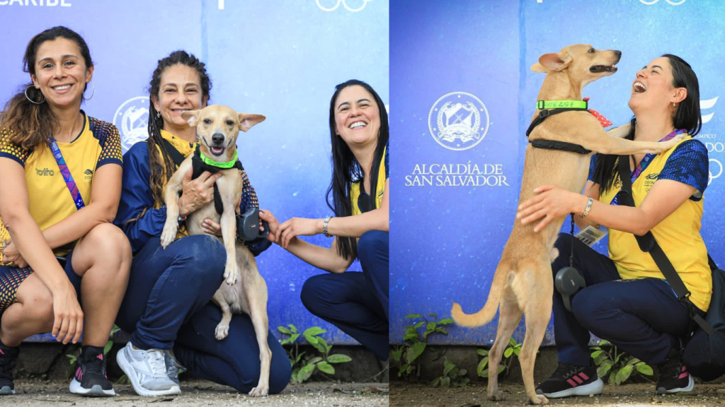 Colombo, el perrito que fue adoptado por la delegación de Colombia en…