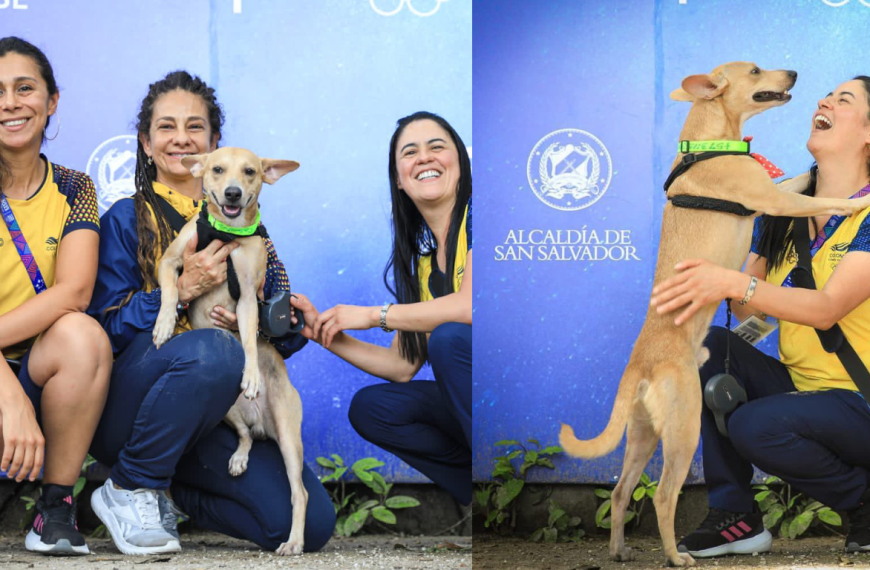 Colombo, el perrito que fue adoptado por la delegación de Colombia en los Juegos Centroamericanos y del Caribe