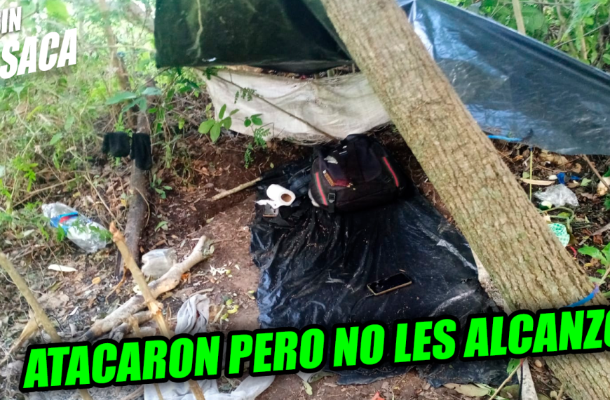 Autoridades dan de baja a dos pandilleros que se escondían en un campamento…