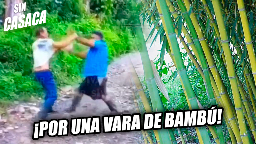 Amigos se van a los golpes por una vara de bambú