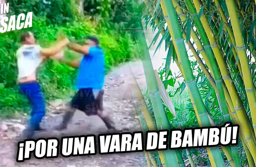 Amigos se van a los golpes por una vara de bambú