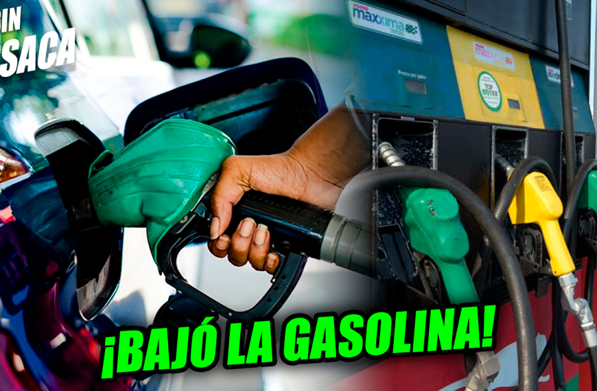 ¡A fulear el carro! Anuncian disminución en los precios de los combustibles